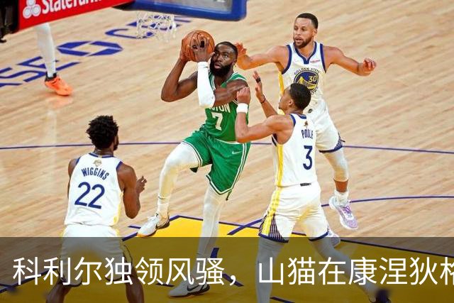 科利尔独领风骚，山猫在康涅狄格夺胜